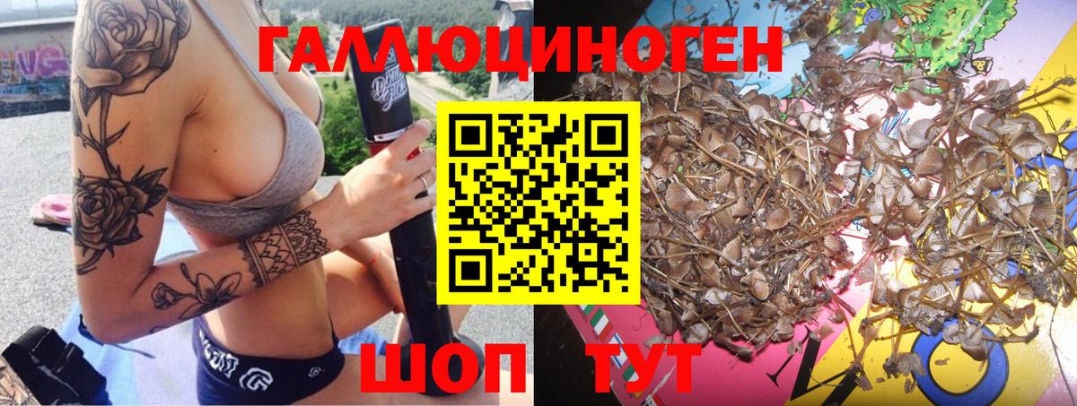 Псилоцибиновые грибы прущие грибы  Вход с VPN  цена   Улан-Удэ 