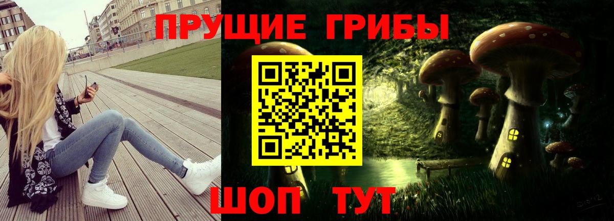Псилоцибиновые грибы Cubensis Улан-Удэ